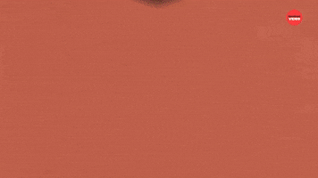 Fantasy Football Invented