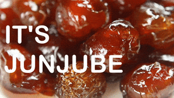 June Month GIF by Sealed With A GIF