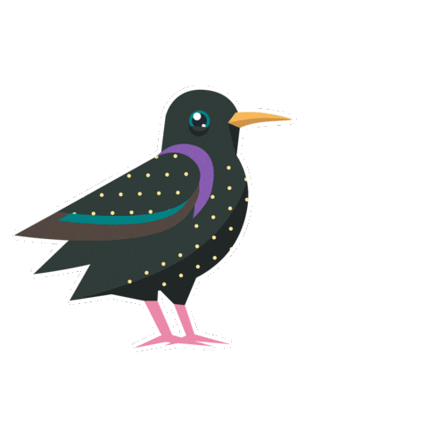 Starling Bird Of The Year Sticker by RSPB