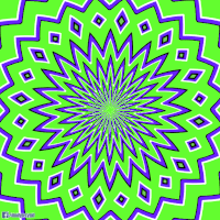 balazsvarga loop flower colorful endless GIF
