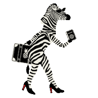 High Heels Travel Sticker by Michelle Rago Destinations