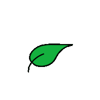 Vegan Leaf Sticker