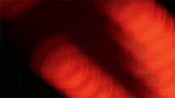 contemporary art installation GIF by Art21