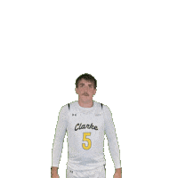 Mens Basketball Sticker by Clarke University