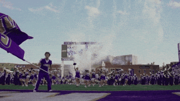 Logo Wave GIF by JMUDukes