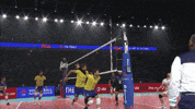 Celebration Joy GIF by Volleyball World