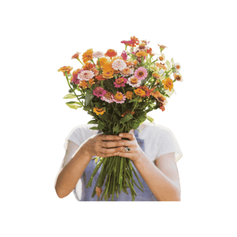 Flowers Spring Sticker by Mama Bees Flower Farm