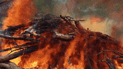 Fire Smoke GIF by JC Property Professionals