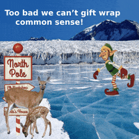 Happy North Pole GIF