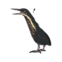 Firuo_drawingbirds bittern 鷺 botaurus flavicollis 黃頸黑鷺 Sticker