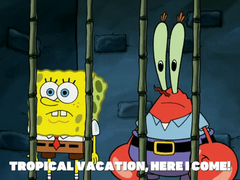 season 5 GIF by SpongeBob SquarePants