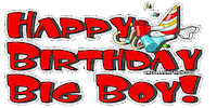boy STICKER