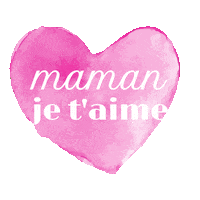 Fete Des Meres G2S Sticker