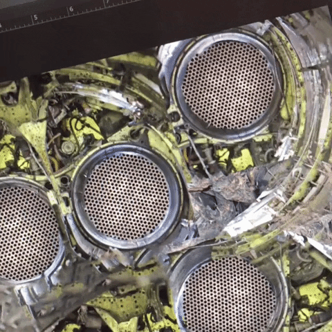 Ranjitsingh GIF by Alex Boya