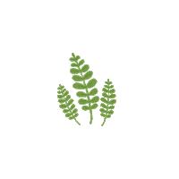 anggiyudia green leaf floral daun Sticker