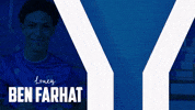 Soccer Goal GIF by Karlsruher SC