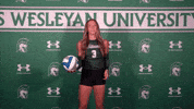 Iwuwvb24 GIF by iwusports