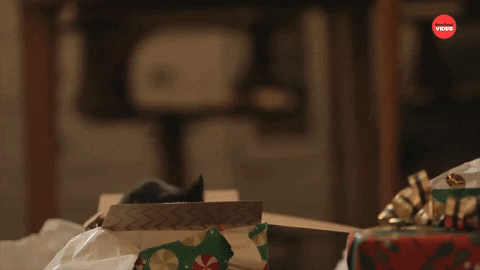 Cat Christmas GIF by BuzzFeed