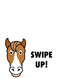 equitanapferdemesse equitana equitanaopenair Sticker