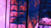 Film Disney GIF by Gisela Guzmán