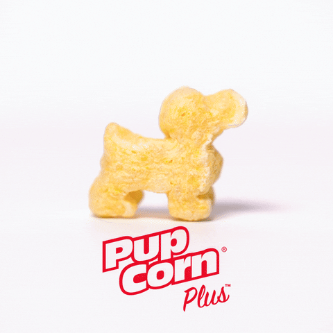 Pup GIF by Sunshine Mills