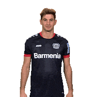 Bayer 04 What Sticker by Bundesliga