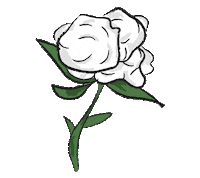 Fashion Flower Sticker by Tolmeia Gregory