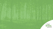 Boom Plant GIF by Het Groen Werkt