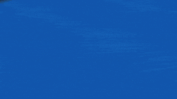Sport Nfl GIF by Seattle Seahawks
