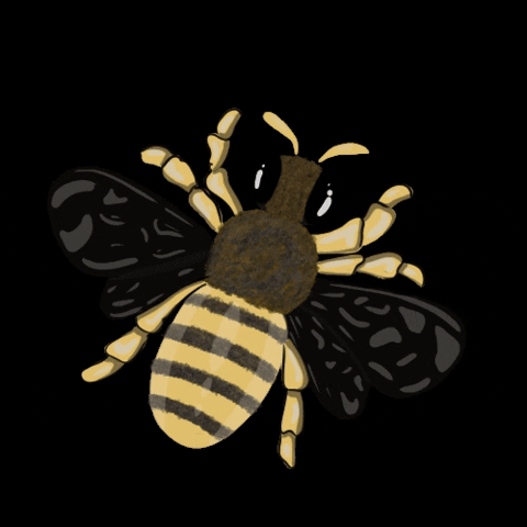 Bee Beehappy GIF