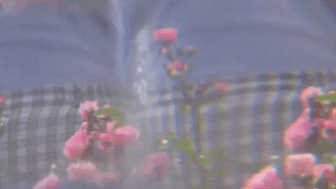 GIF by SEOLGOLD
