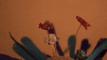 An Ocean of Responsibilities