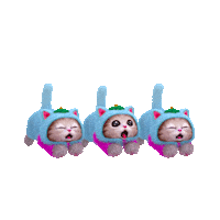 Happy Felis Catus Sticker