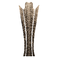 Acm Awards Sticker by Academy of Country Music Awards