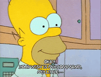 Season 1 Episode 10 GIF by The Simpsons