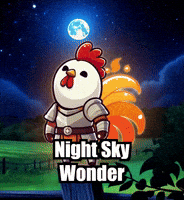Stars Night GIF by Zorooster
