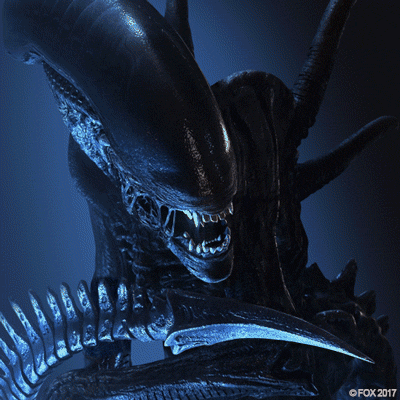 GIF by 20th Century Fox Home Entertainment