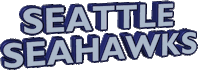 Seattle Seahawks Football Sticker by GIPHY Text