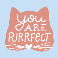 International Cat Day Love GIF