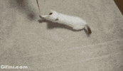 accident GIF