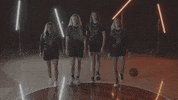 Santa Clara University Go Broncos GIF by Santa Clara Broncos