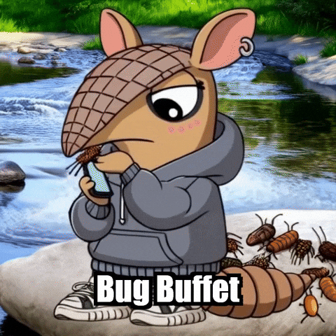 Insects Armadillo GIF by Chillo Dillo