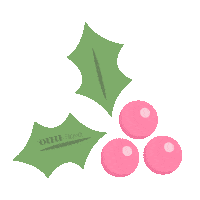 Pink And Green Christmas Sticker by Ouuilove