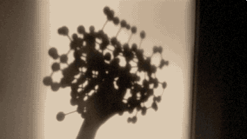 water physics GIF by ewanjonesmorris