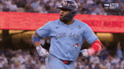 Home Run Baseball GIF by MLB
