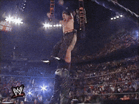 Royal Rumble Wrestling GIF by WWE