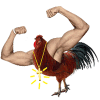 Fun Bird Sticker by Abenteujahr