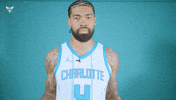 Hive Mentality Nick Richards GIF by Charlotte Hornets