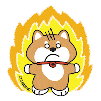 Fire Weather Sticker by SHIBAINC