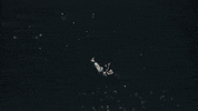 elephantHhart music heart dark edm GIF
